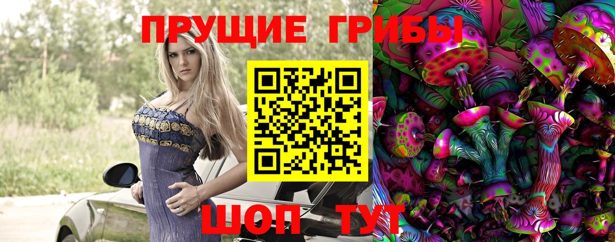 Псилоцибиновые грибы Psilocybine cubensis Малоярославец